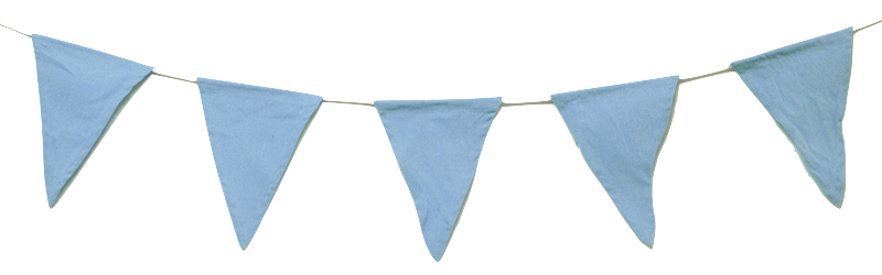 Bunting Solid Blue